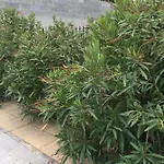 Spacieuse Indépendante Dans Parking Privée 4*