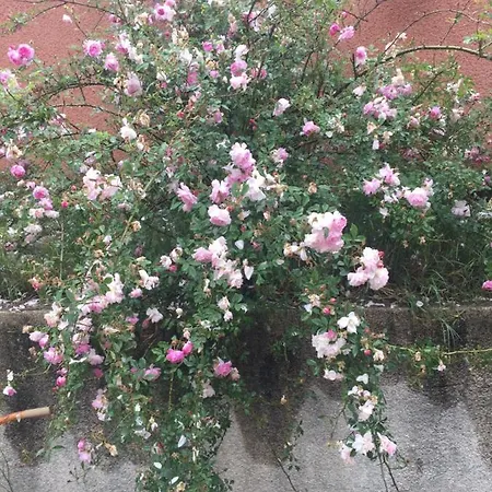 Frühstückspension Spacieuse Independante Dans Parking Privee 4*