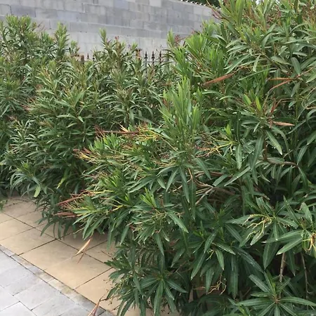 Spacieuse Independante Dans Parking Privee 4*