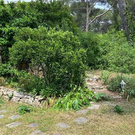 Frühstückspension Spacieuse Independante Dans Parking Privee 4*