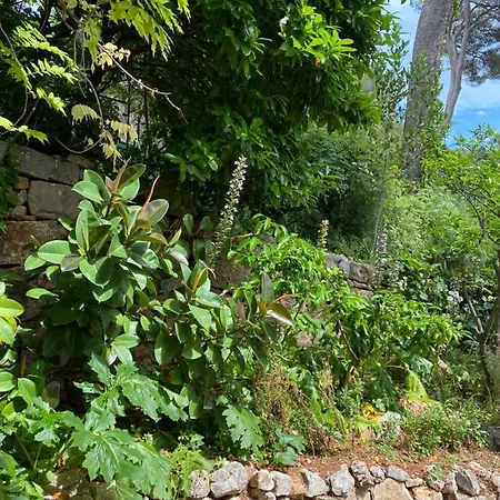 Spacieuse Independante Dans Parking Privee Frühstückspension Le Cannet