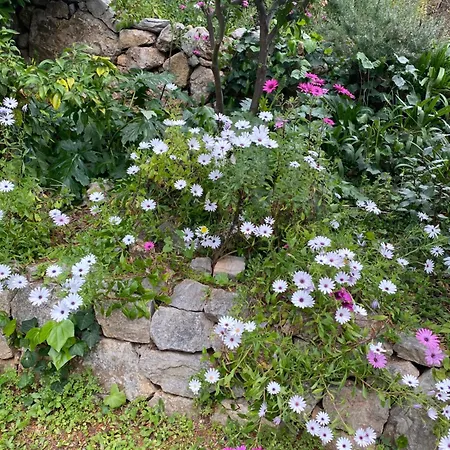 Spacieuse Independante Dans Parking Privee Frühstückspension 4*